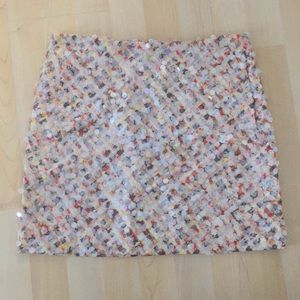 J. Crew Women’s Skirt Size 0